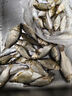 漢鼎一號(hào)6代魚(yú)竿超輕手竿5.4米臺(tái)釣竿鯽魚(yú)竿碳纖維手桿 綜合5.4米 曬單實(shí)拍圖