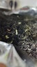春上早茉莉花茶  2025新茶特級(jí)飄雪濃香型毛尖茶葉四川花茶年貨禮盒250g 曬單實(shí)拍圖