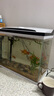 長(cháng)銳魚(yú)缸一體缸自循環(huán)免換水家用客廳桌面小型金魚(yú)缸超白玻璃養魚(yú)缸 超白CRV480標準款+水蘭青竹景（真水草） 曬單實(shí)拍圖