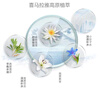 自然堂（CHANDO）喜馬拉雅植物補水面膜男女舒緩補水保濕細致毛孔護膚化妝品禮物 12片【植物面膜】 曬單實(shí)拍圖