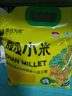 吾谷為伴敖漢小米5斤 新米赤峰小米粥黃小米 金苗k1蒸飯更軟糯 曬單實拍圖