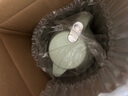 蘇泊爾（SUPOR）保溫壺大容量家用玻璃內膽暖水壺學(xué)生宿舍高顏值開(kāi)水壺熱水壺2L 曬單實(shí)拍圖