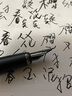 畢加索（pimio）美工筆彎頭彎尖書法鋼筆男女士練字成人學(xué)生用筆明尖1.0mm 馬拉加系列916晨曦紅 曬單實拍圖