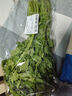 帶根香菜100g 曬單實(shí)拍圖