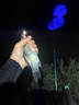 Warsun藍(lán)光釣魚燈激光大炮大功率夜釣燈超亮強(qiáng)光手電三光源臺(tái)釣GD 曬單實(shí)拍圖