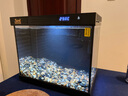森森金麟超白玻璃魚缸一體缸自循小型懶人家用水族箱LE-300 曬單實拍圖
