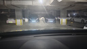 FSL榮耀ProLED汽車(chē)大燈超亮H7車(chē)燈近光燈遠光燈小巧高亮聚光超強55W 曬單實(shí)拍圖