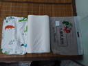 愛寶適兒童枕頭含乳膠枕青少年午睡枕頭寶寶定型枕小學(xué)生枕頭侏羅紀S417 曬單實拍圖