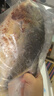 環(huán)球水產(chǎn)南海大規格金鯧魚(yú)550g1條 BAP認證 海魚(yú) 生鮮魚(yú)類(lèi) 火鍋 中秋海鮮 曬單實(shí)拍圖