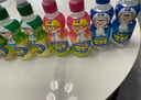 啵樂(lè )樂(lè )兒童飲料 果汁飲品0脂無(wú)負3歲+隨機口味裝 235ml*6瓶 曬單實(shí)拍圖
