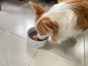 愛(ài)肯拿（ACANA）狗糧 鴨肉梨成犬低敏去淚痕全價(jià)通用原裝進(jìn)口糧11.4kg效期26/3 曬單實(shí)拍圖