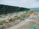 護欄雙邊絲護欄網高速公路隔離網工程圍欄果園隔離河道防護鐵柵欄 桃型柱護欄專拍【需聯(lián)系客服下單】 曬單實拍圖