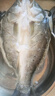 釣魚(yú)記開(kāi)背海鱸魚(yú)1斤-1.3斤 三去凈重 冷凍生鮮 魚(yú)類(lèi) 海鮮水產(chǎn) 中秋聚餐 曬單實(shí)拍圖