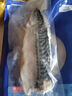 探海日志冷凍挪威青花魚片凈重2斤小袋包裝進(jìn)口冷凍鯖魚日料烤魚海鮮生鮮 曬單實(shí)拍圖
