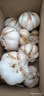 新干蒜蔬菜糖醋蒜燒烤火鍋調(diào)料食材大蒜 1斤 單果3.5-5cm 曬單實(shí)拍圖