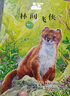 牧鈴動(dòng)物小說(shuō)精品集 林間飛俠 北京少年兒童出版社 曬單實(shí)拍圖
