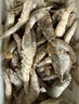 鮮享純【青島蝦】超大蝦新鮮大蝦冷凍鮮活青島大蝦批發(fā)整箱基圍蝦青蝦 15-17厘米鮮蝦速凍 3斤(凈重) 曬單實(shí)拍圖