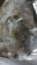 一蝦一世界冷凍大號(hào)帶黃扇貝肉 無沙蒜蓉粉絲扇貝去殼去沙 海鮮火鍋燒烤食材 大號(hào)扇貝肉500g*3袋【40/60規(guī)格】 曬單實(shí)拍圖