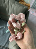 春季新款甜美百搭郁金香花朵大腸發(fā)圈感氣質(zhì)頭繩扎高馬尾發(fā)飾 郁金香飄帶發(fā)圈-粉色 曬單實(shí)拍圖