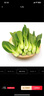 京鮮生 上海青 新鮮小油菜 600g 簡(jiǎn)裝 新鮮蔬菜 曬單實(shí)拍圖