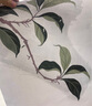 超威驅(qū)蚊噴霧基孔肯雅熱防蚊噴霧戶外便攜驅(qū)蚊液防蚊止癢水蚊怕水80ml 曬單實拍圖