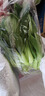 上海青約500g(油菜) 曬單實(shí)拍圖