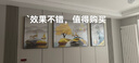 Sixpoetry客廳裝飾畫(huà)沙發(fā)背景墻掛畫(huà)山水畫(huà)三聯(lián)畫(huà)2026現代簡(jiǎn)約輕奢大氣壁畫(huà) KOD9（鋁合金外框） 藝術(shù)晶瓷畫(huà)左右60*80+中間120*80 曬單實(shí)拍圖