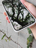 JCZSAR康寧膜適用蘋果17ProMax鋼化膜iPhone16Pro手機膜15貼膜1 iPhone 16 plus 【AR超清康寧買1送1】防爆抗指紋新AR抗反射送太 曬單實拍圖