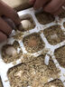 云依禾農莊雞蛋農家散養土雞蛋 山林草雞蛋新鮮現撿柴雞蛋 單枚40g±5g 【散養土雞蛋】50枚 曬單實(shí)拍圖