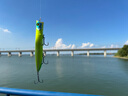 EWE 美夏鬼波鉛筆波爬水面系路亞餌假餌遠投海鱸翹嘴鱸魚(yú)假餌 9#騷黃色 鬼波-115mm/18g 曬單實(shí)拍圖