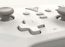 飛智沙漠狐 多模版無(wú)線(xiàn)游戲手柄 類(lèi)xbox霍爾扳機switch電腦PC手機steamNS雙影奇境 曬單實(shí)拍圖