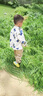 G.DUCKKIDS童裝男童套裝春秋季兒童服裝一歲寶寶衣服滿印熊工裝三件套秋裝 藍色滿印熊 100 建議90-100cm3-4歲 曬單實拍圖
