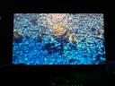 泰坦軍團27英寸 2304分區 MiniLED 4K170Hz雙模340Hz DyDs技術(shù) HDR1400 Type-C 90W 電競顯示器P275MV MAX 曬單實(shí)拍圖