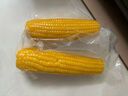 新鮮黃糯白糯黑糯玉米真空包裝速食玉米軟糯香甜代餐早餐美味 黃糯玉米180g-220g 2根裝 曬單實(shí)拍圖