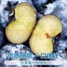 愛鮮摘農(nóng)場(chǎng) 遼寧丹東花香藍(lán)莓【順豐-多地次日達(dá)】新鮮水果禮盒送禮物品 【花香級(jí)】稀有果王丨單果20mm+ 125g*4盒【爽吃-較劃算】?jī)?00g 曬單實(shí)拍圖