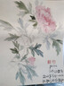 榮寶齋畫(huà)譜·古代部分97：惲壽平 花卉 曬單實(shí)拍圖