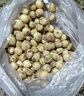 莫小仙四川苦藠團(tuán)蔥新鮮小根蒜苦芥野菜野蔥頭小蒜頭苦藠頭薤白精選 1000g 曬單實拍圖