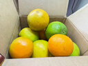 江西贛南早臍橙 橙子紐荷爾甜橙水果現摘當季新鮮水果 4.5斤裝凈重 （單果65-70mm） 曬單實拍圖