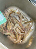 鮮活大基圍蝦250g(11-16只) 曬單實拍圖