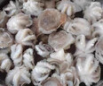 八爪魚 鮮活冷凍去牙去內(nèi)臟小八爪魚長腿國產(chǎn)章魚海鮮水產(chǎn) 三去八爪魚3斤裝 曬單實拍圖