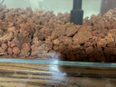 瘋狂水草（FKSC）紅色火山石魚缸專用養(yǎng)烏龜火山巖顆粒魚缸造景底砂沙石可配溪流石 曬單實(shí)拍圖
