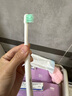 維克（Virbac）牙刷犬貓專用寵物牙膏牙刷幼貓狗狗犬貓專用口腔清潔護理（單支） 曬單實拍圖