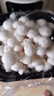 白玉菇150g 曬單實拍圖