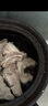  【180天白豬家庭裝】冰鮮帶肉脊骨1kg 曬單實(shí)拍圖
