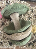 乖卷倉鼠糧食金絲熊營(yíng)養小零食磨牙棒玩具躲避造景用品 小樹(shù)兩個(gè) 曬單實(shí)拍圖