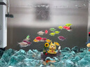 添悅新款側濾魚(yú)缸客廳金魚(yú)缸自循環(huán)帶蓋桌面斗魚(yú)缸家用增氧小型一體缸 E-60缸【標配版】 曬單實(shí)拍圖