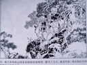 彩色連環(huán)畫(huà)大書(shū) 林海雪原 曬單實(shí)拍圖