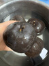 凍梨東北特產(chǎn)梨子新鮮丑梨水果果凍秋梨黑梨凍柿子泡梨順豐 8斤 蘋果梨  凍梨 曬單實拍圖