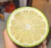 香水檸檬新鮮水果海南無籽青檸檬水果奶茶店專用 海南香水檸檬帶箱1斤單果60g起 曬單實拍圖