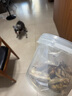 盼斯兔（PETSTWO）味途貓零食多春魚(yú)凍干貓咪零食小魚(yú)干營(yíng)養滿(mǎn)籽幼貓成貓 多春魚(yú)凍干桶350g【桶裝鎖鮮】 曬單實(shí)拍圖
